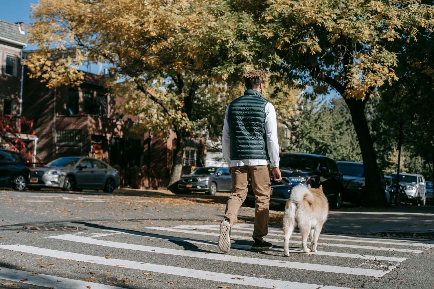 Dog Walking