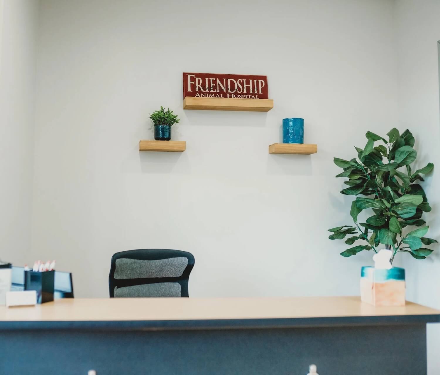 Welcoming reception desk at a veterinary clinic with branded signage and plants in Kalamazoo