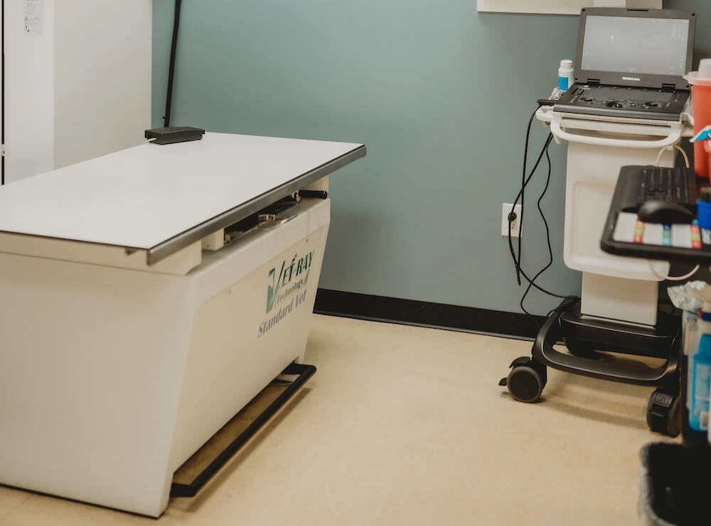 Veterinary radiology room with digital X-ray machine and ultrasound equipment for pet diagnostics in Kalamazoo