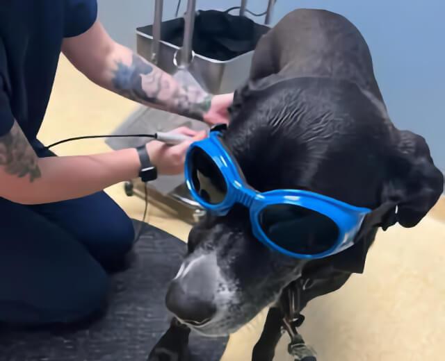 Diagnostic Testing